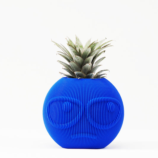 SUSPICIOUS DUDE Modern Decorative Planter