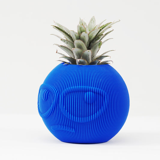 SUSPICIOUS DUDE Modern Decorative Planter