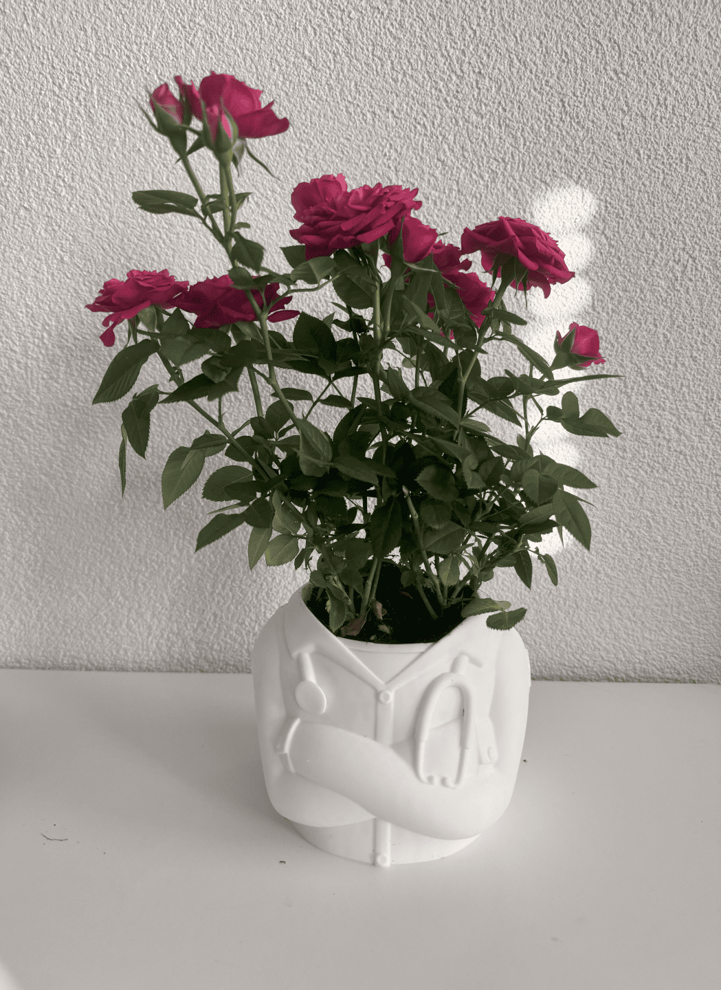 Peace N Joy - Doctor Planter Pot | Unique Tabletop Planter for Gifting & Decor | Modern Medical-Themed Plant Holder