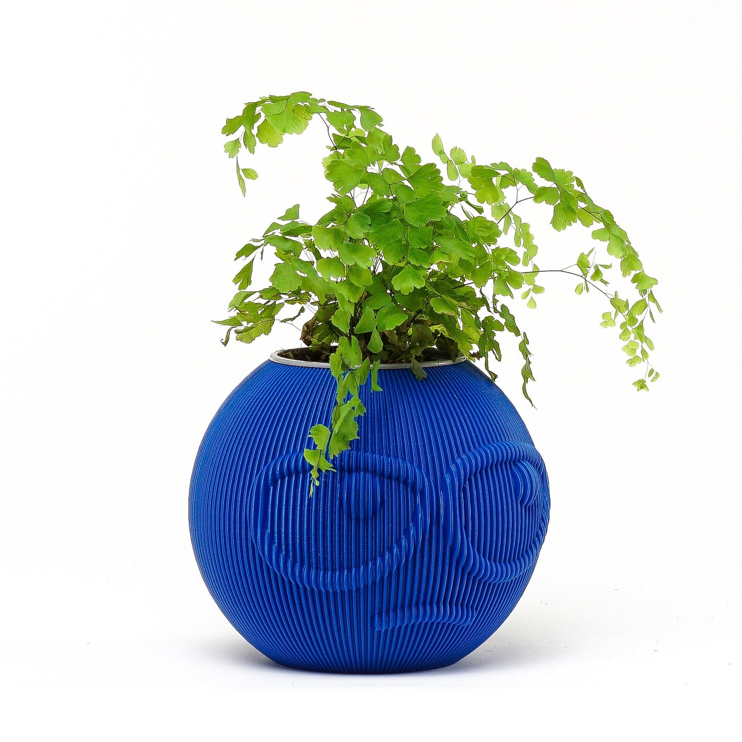 SUSPICIOUS DUDE Modern Decorative Planter