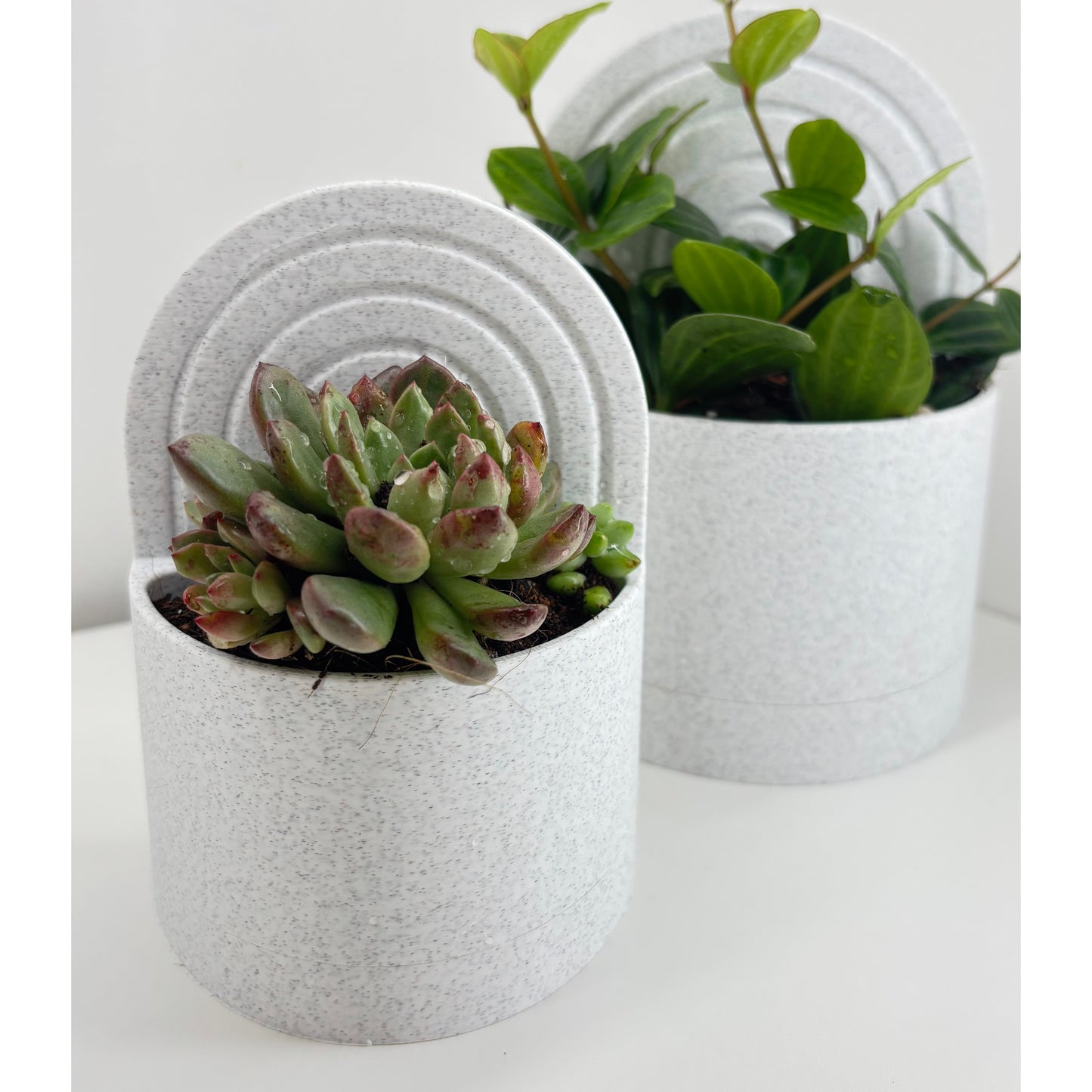 Peace N Joy Designer Bookend Planter with Water Reservoir - Minimalist Home Decor for Bookshelves & Desks - Pack of 2 | Dual-Purpose Plant Holder - Designed by Vireo Studio