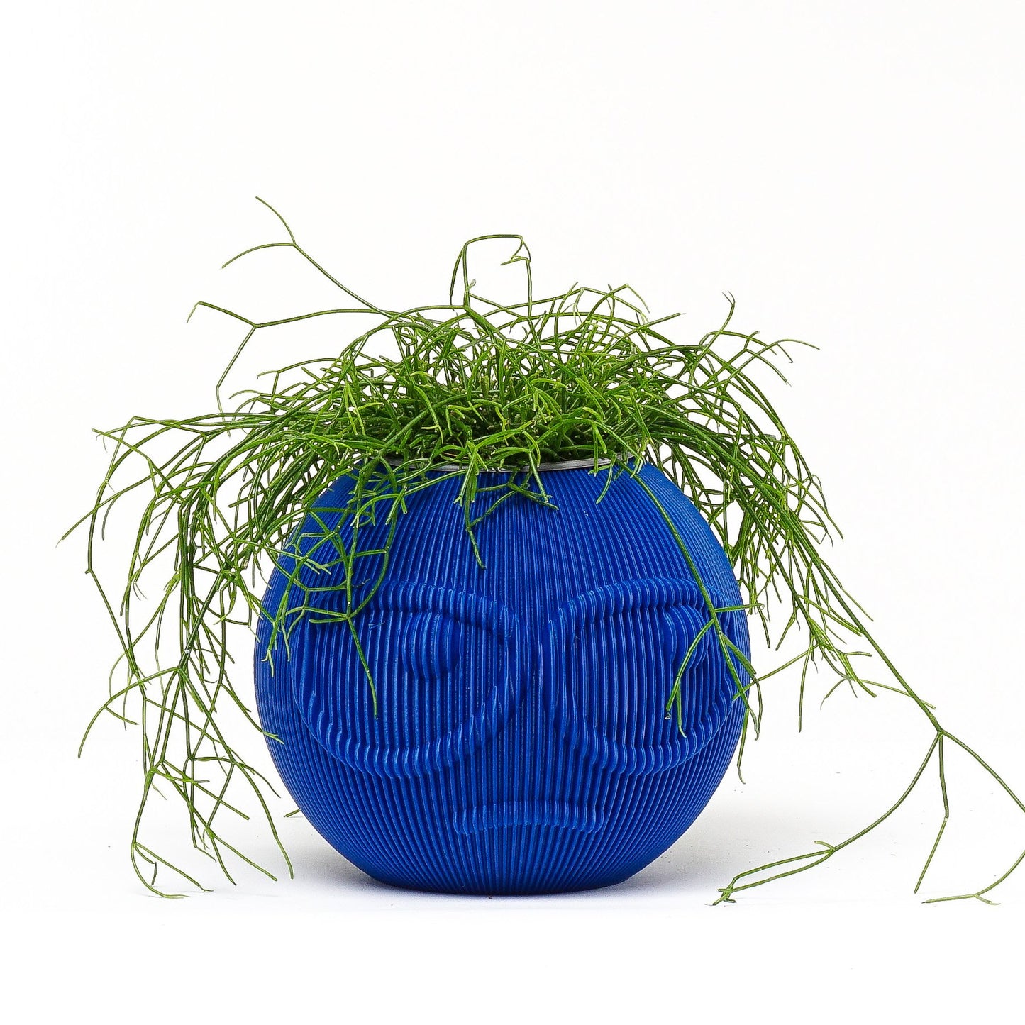SUSPICIOUS DUDE Modern Decorative Planter