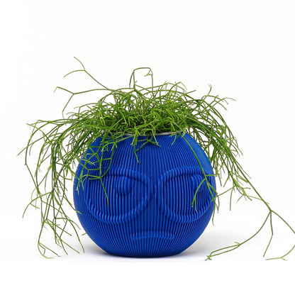 SUSPICIOUS DUDE Modern Decorative Planter